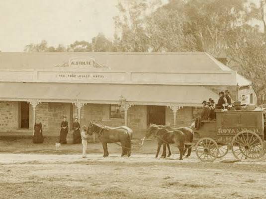 Tea Tree Gully